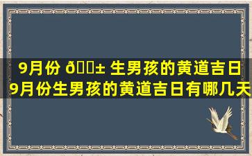 9月份 🐱 生男孩的黄道吉日（9月份生男孩的黄道吉日有哪几天）